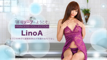 1Pondo-111516_427 高級ソープ LinoA へようこそ