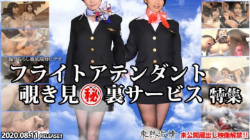 Tokyo-Hot-n1484 TOKYO HOT Passionate Flight Attendant Peeping Secret Service Special Part 3